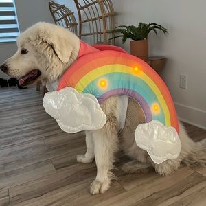 XL Dog LED rainbow costume